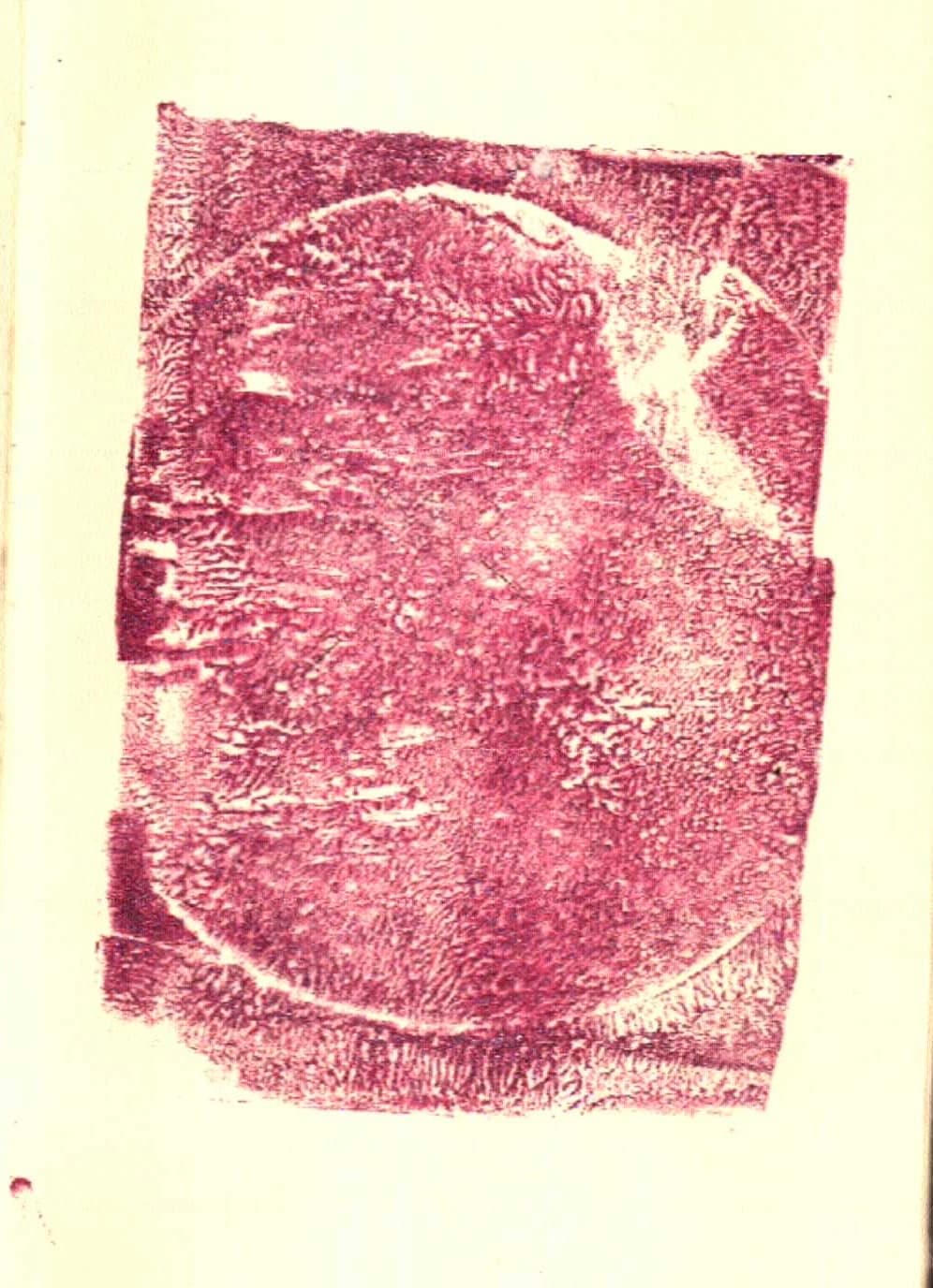 Berlin Archives - Detail 41