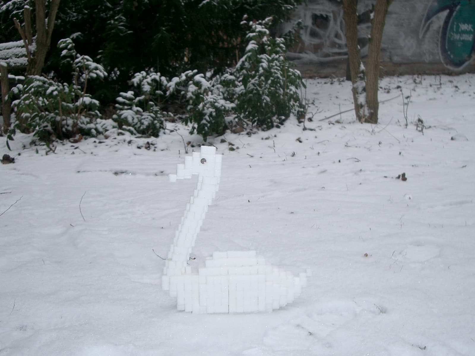 Even more swans 