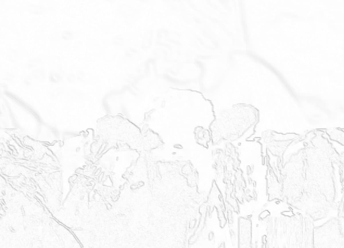 Ganado - Detail 5
