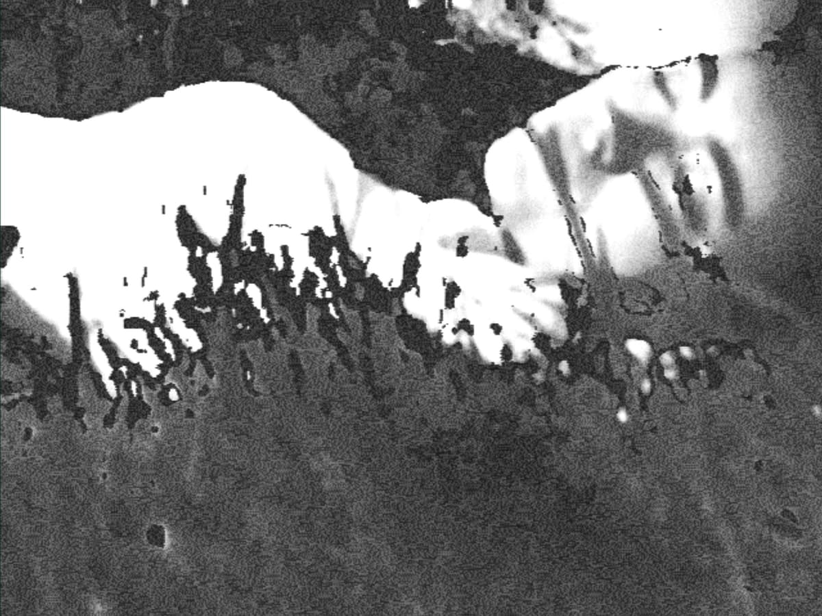Ganado - Detail 7