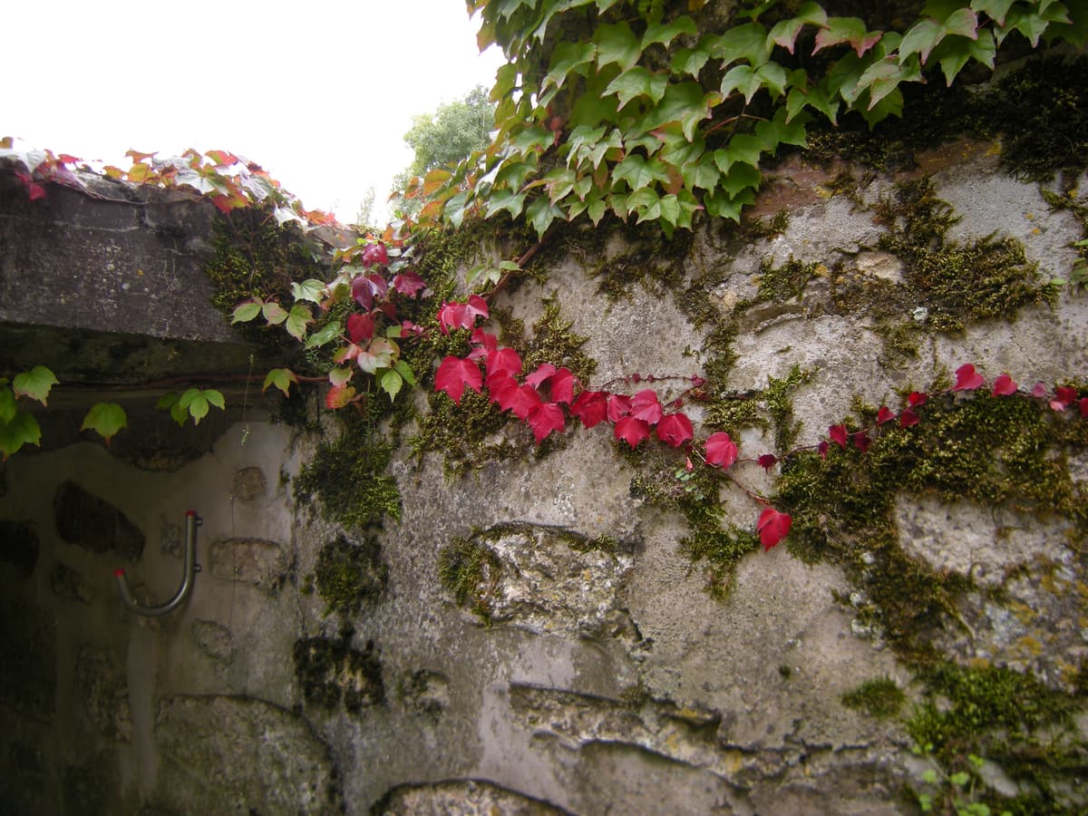 Paris Archives - Detail 16