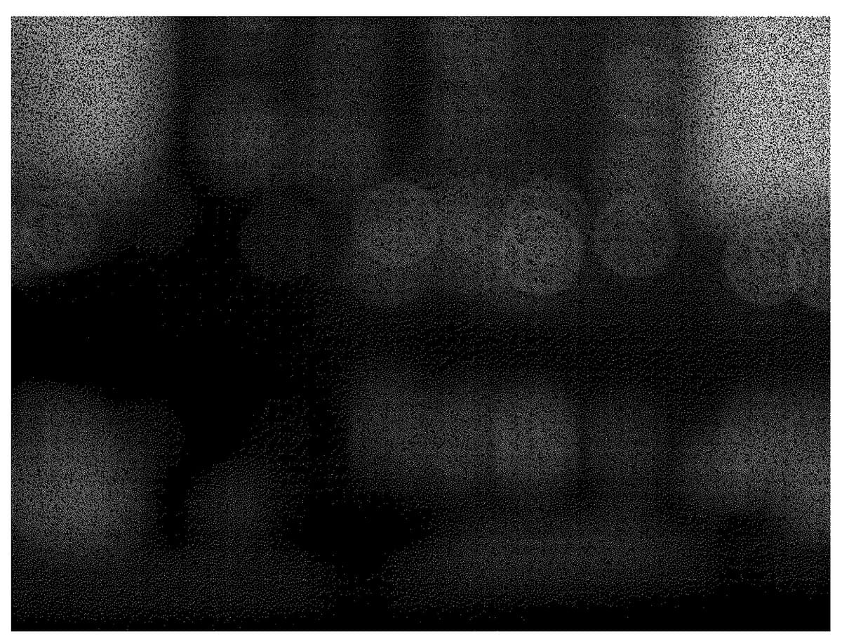 Spree - Detail 2