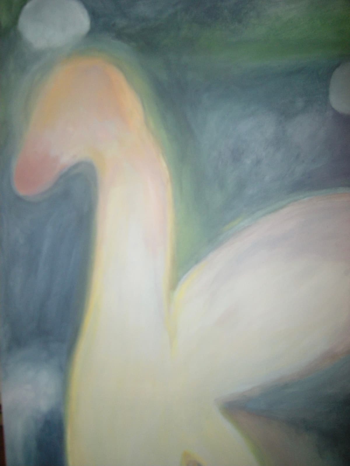 The Swans