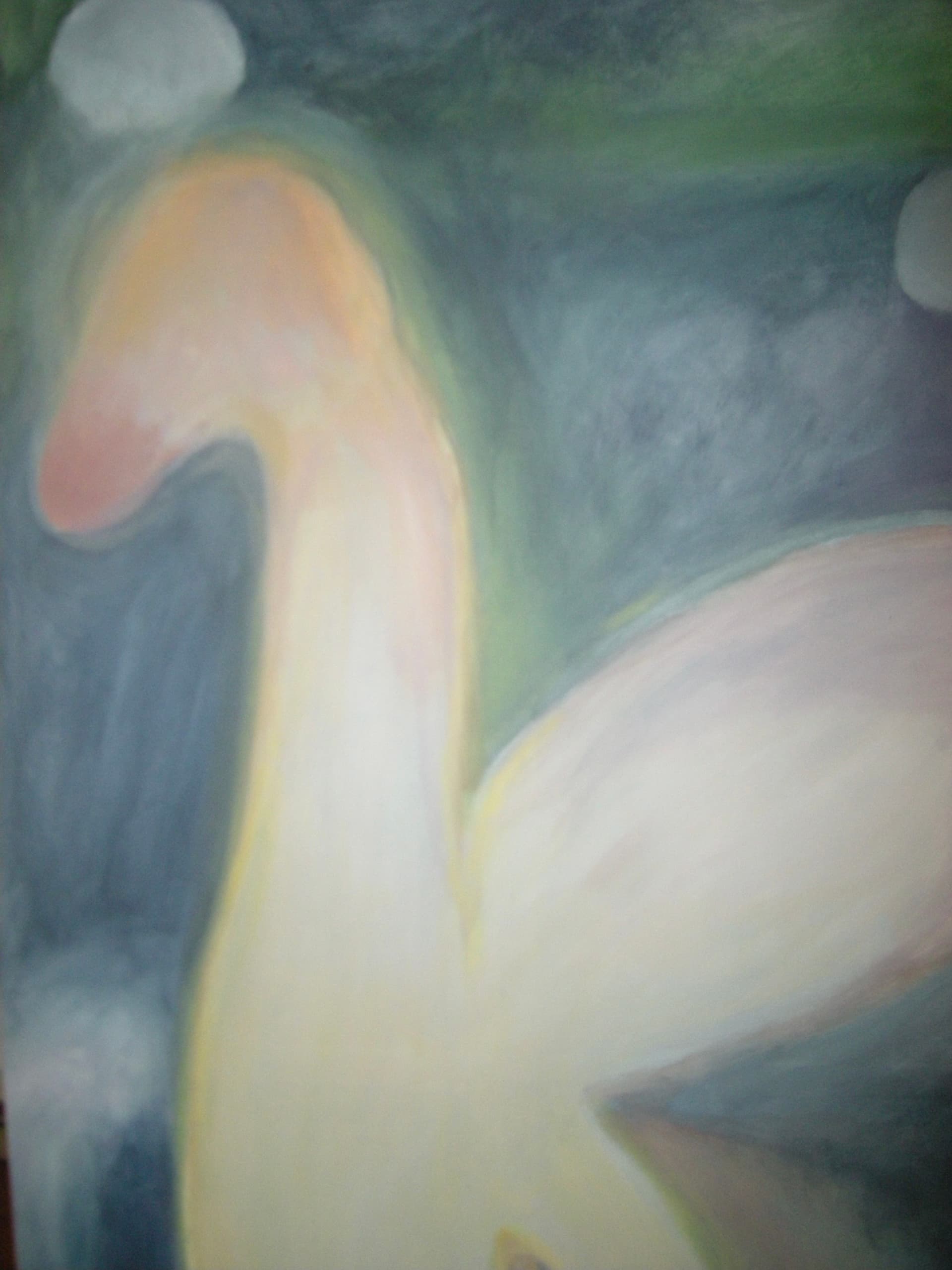 The Swans