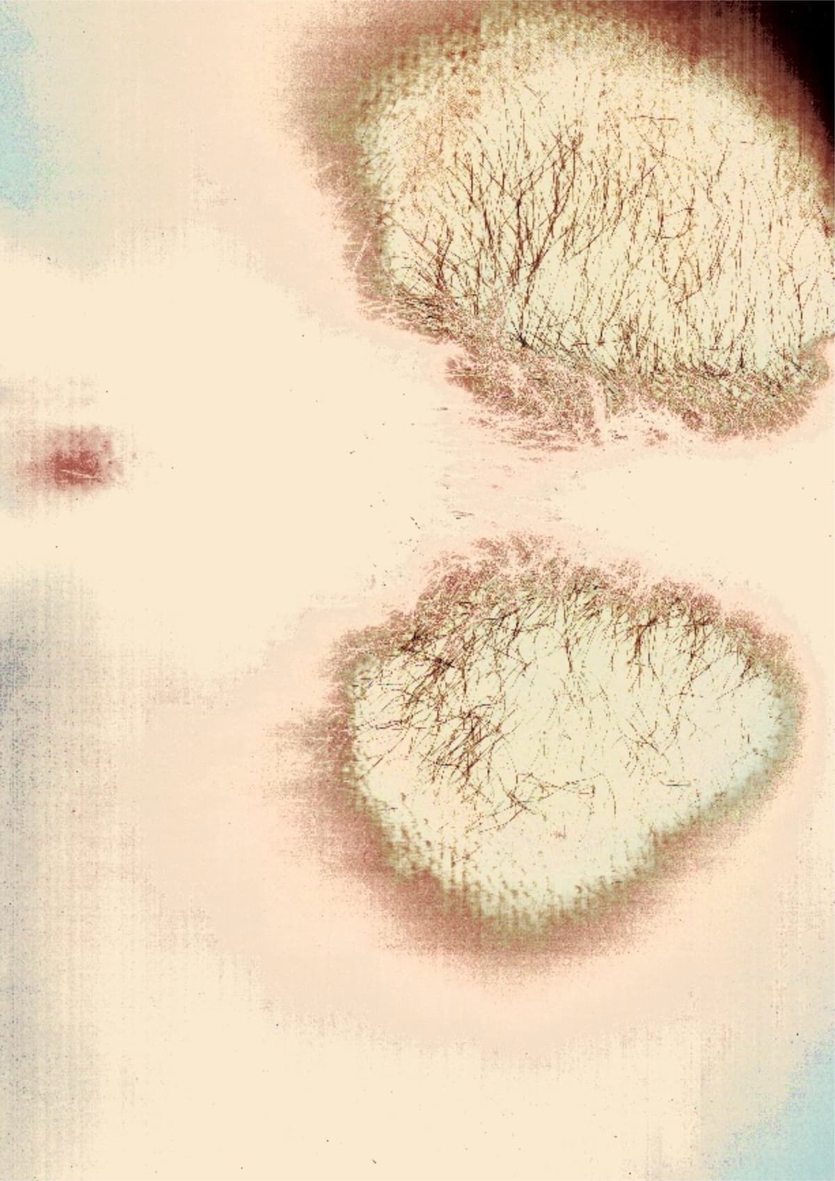 Traces - Detail 1