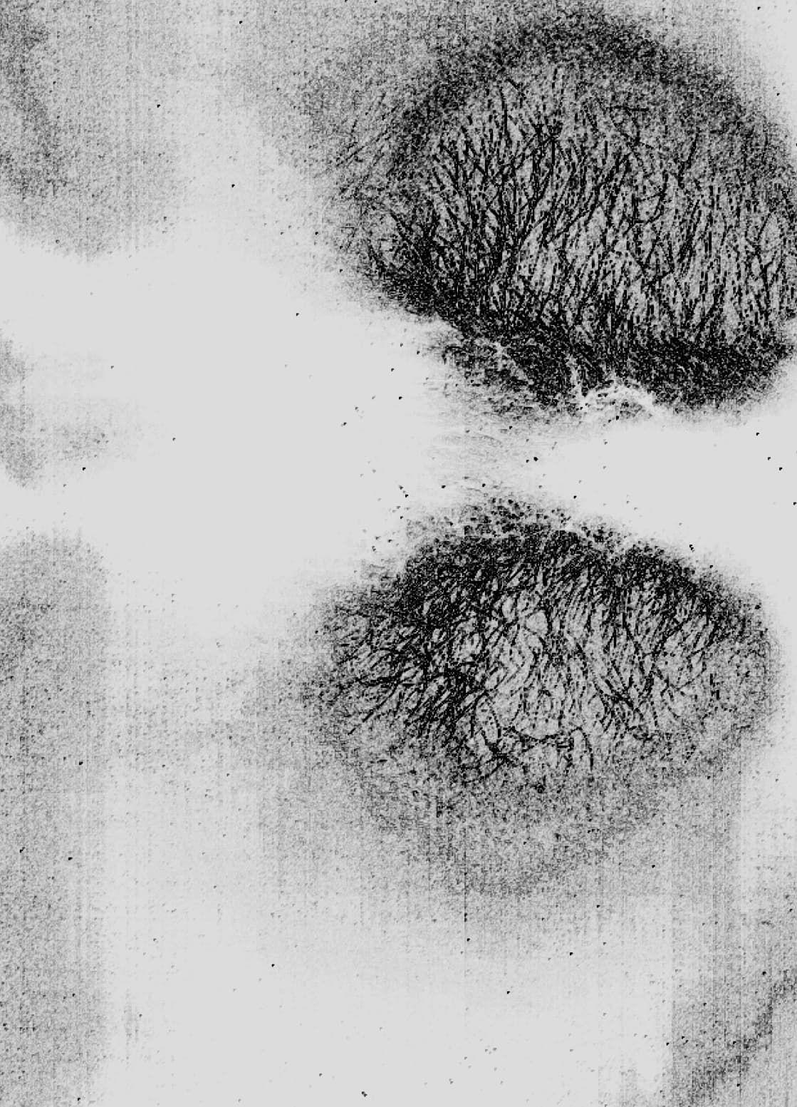 Traces - Detail 3