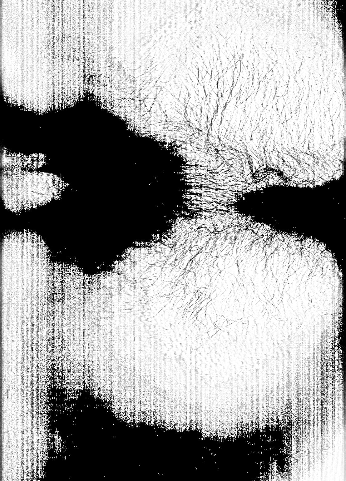 Traces - Detail 6