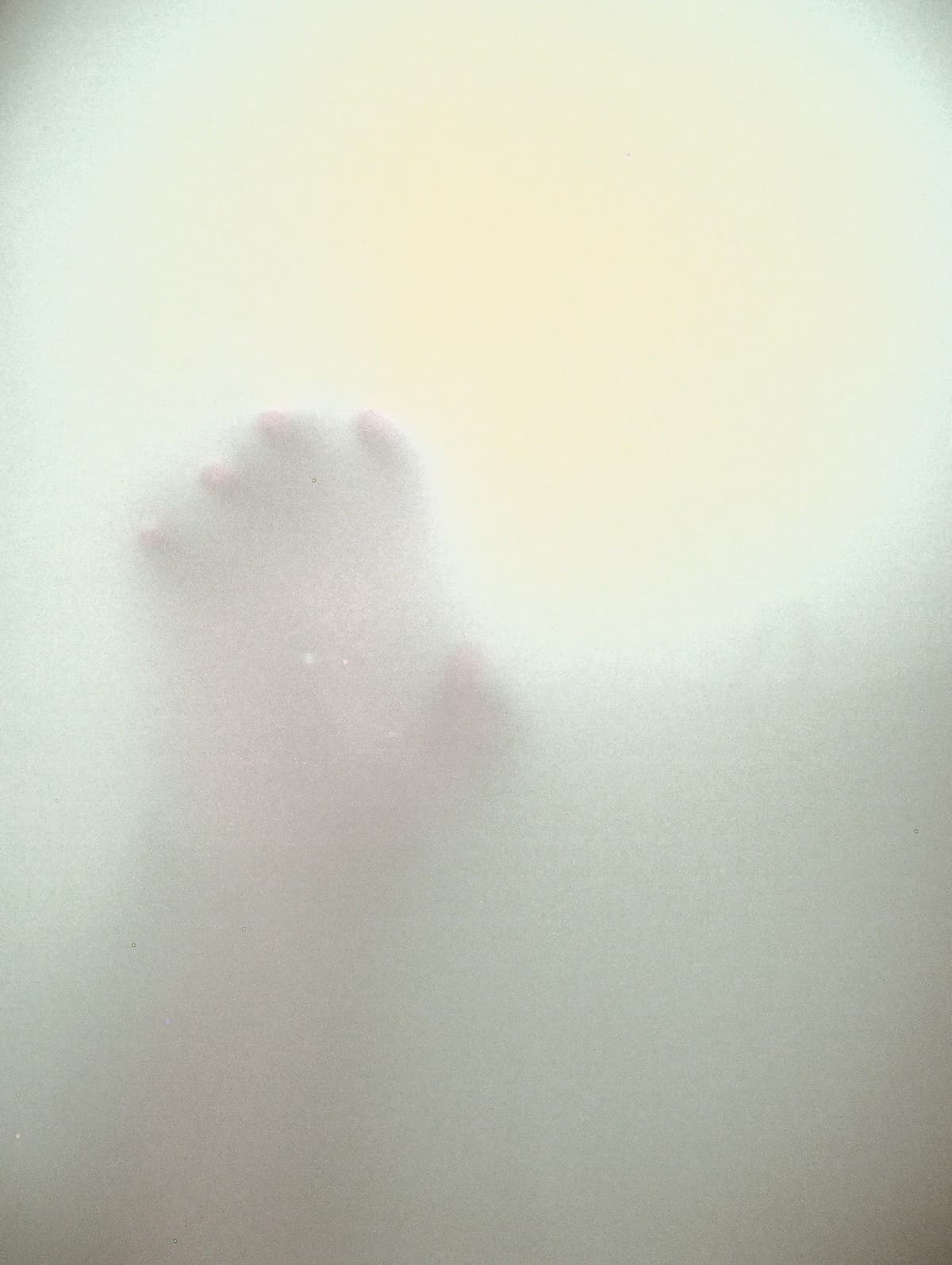 Traces - Detail 7