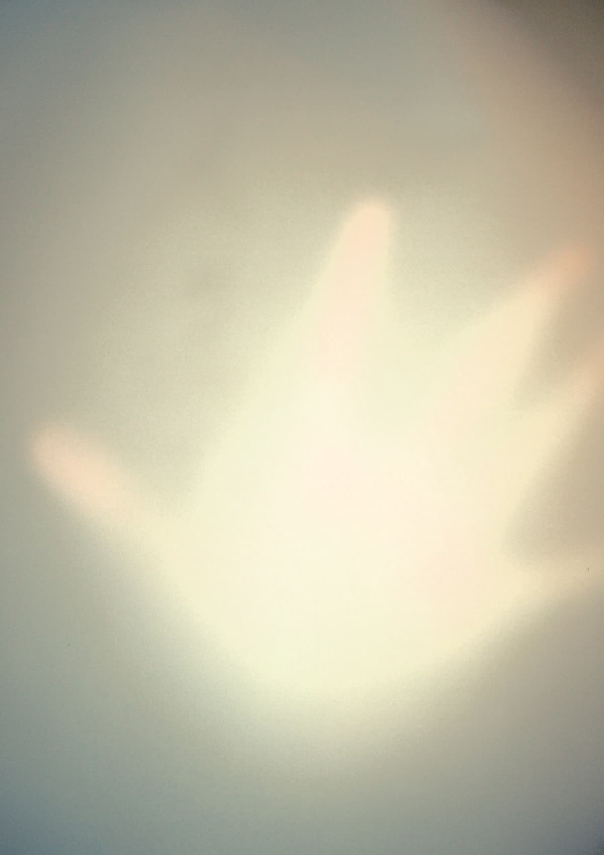 Traces