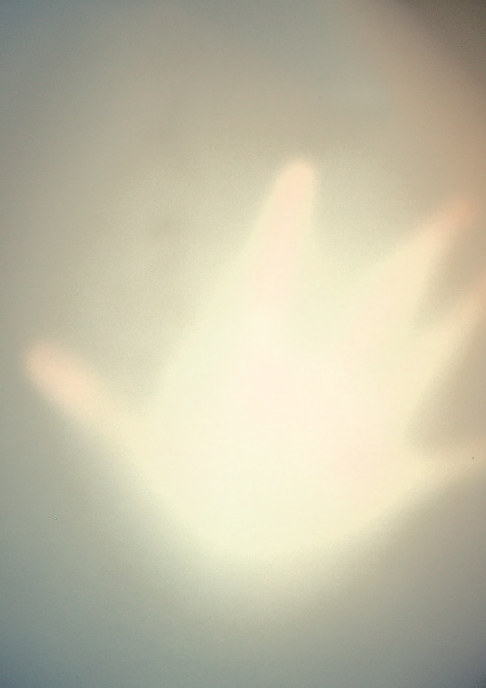 Traces